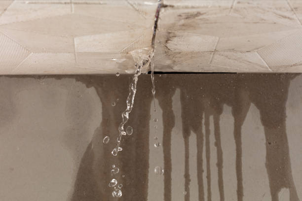 Professional Flood Damage Cleanup technician working in Leoma, TN